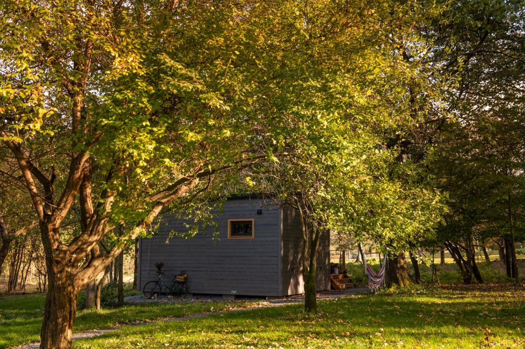 Zahrada ubytování Glamping Zlaté Podlesí #1