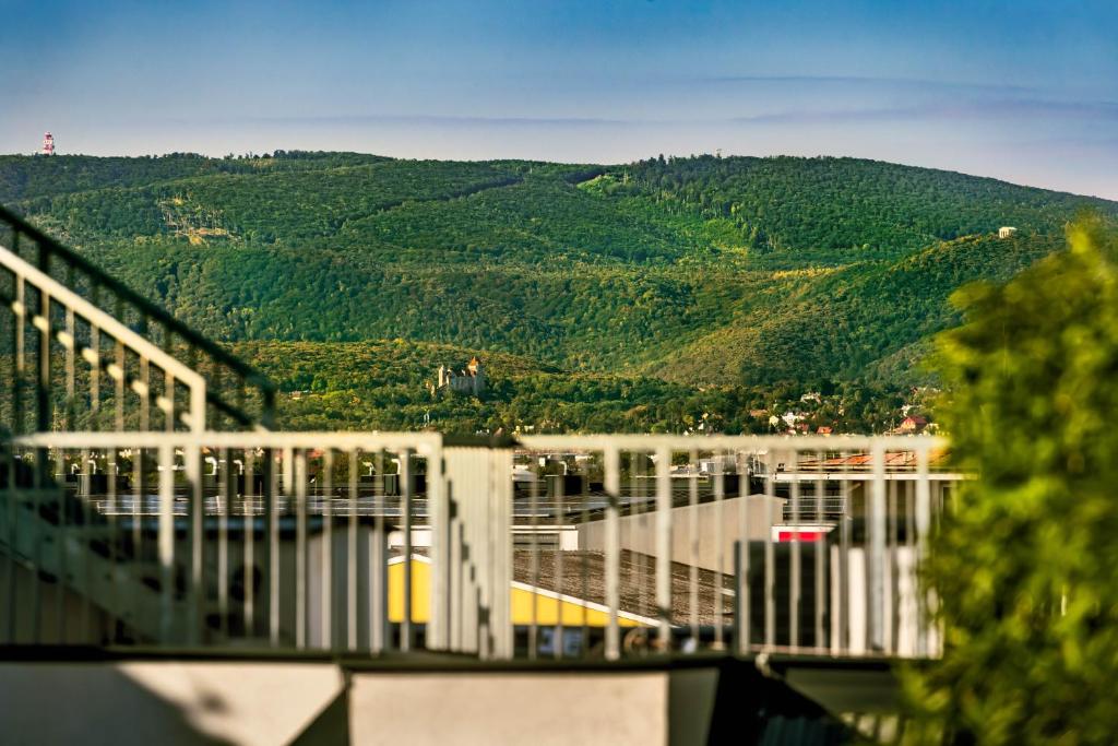 lyf Schönbrunn Vienna - Resim 35