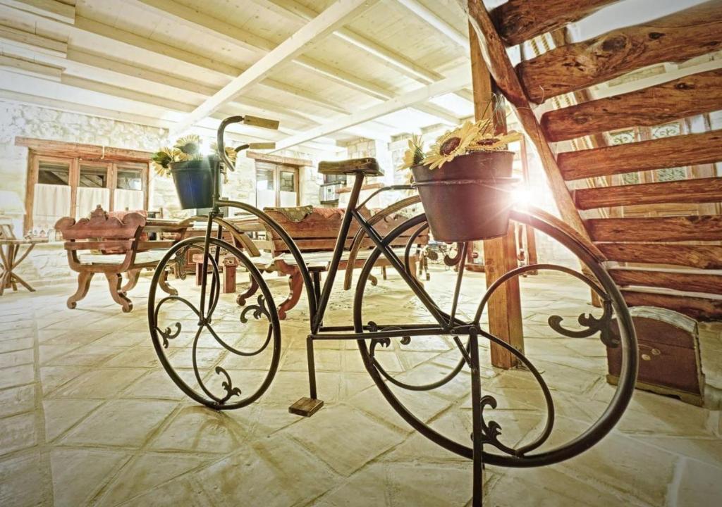 Jazda na bicykli v okolí ubytovania Villa Poseidon Residence
