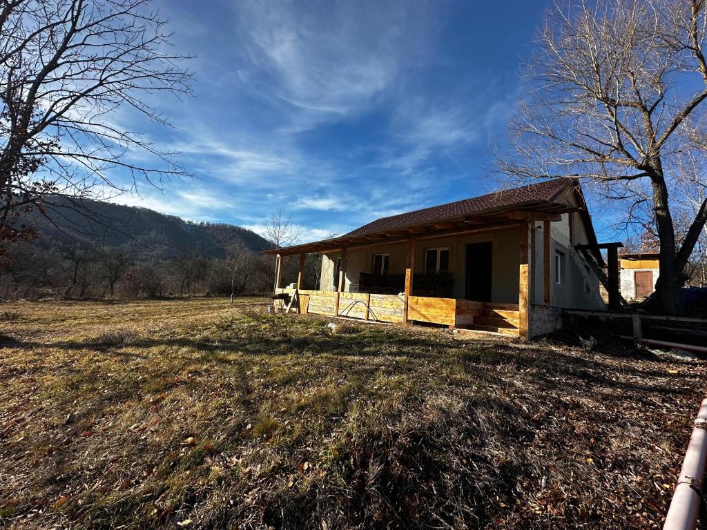 een klein huis in een veld naast een boom bij Cabana de la Sat in Iablaniţa