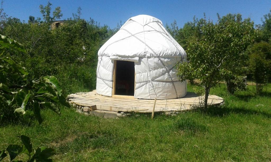 ein weißes Leguan-Haus auf einem Grasland in der Unterkunft Bel-Zhan Yurt Lodge in Grigor'yevka