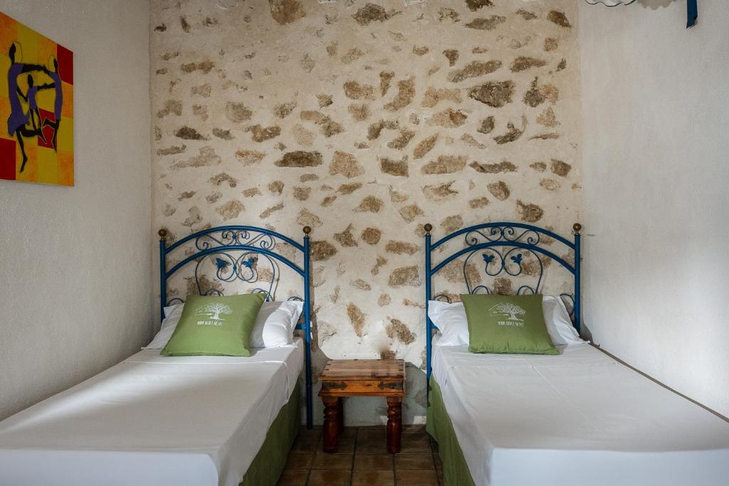 Roba Degli Ulivi - 19