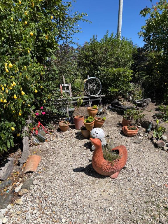 Zahrada ubytování Cabaña Rústica Villa Alicia