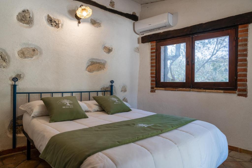 Roba Degli Ulivi - 7