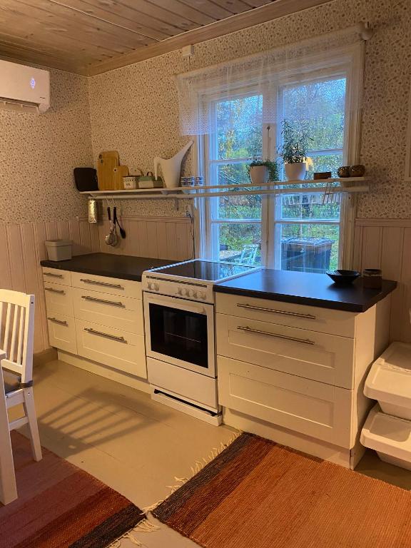 Kuchyň nebo kuchyňský kout v ubytování Kleines Haus in Schweden