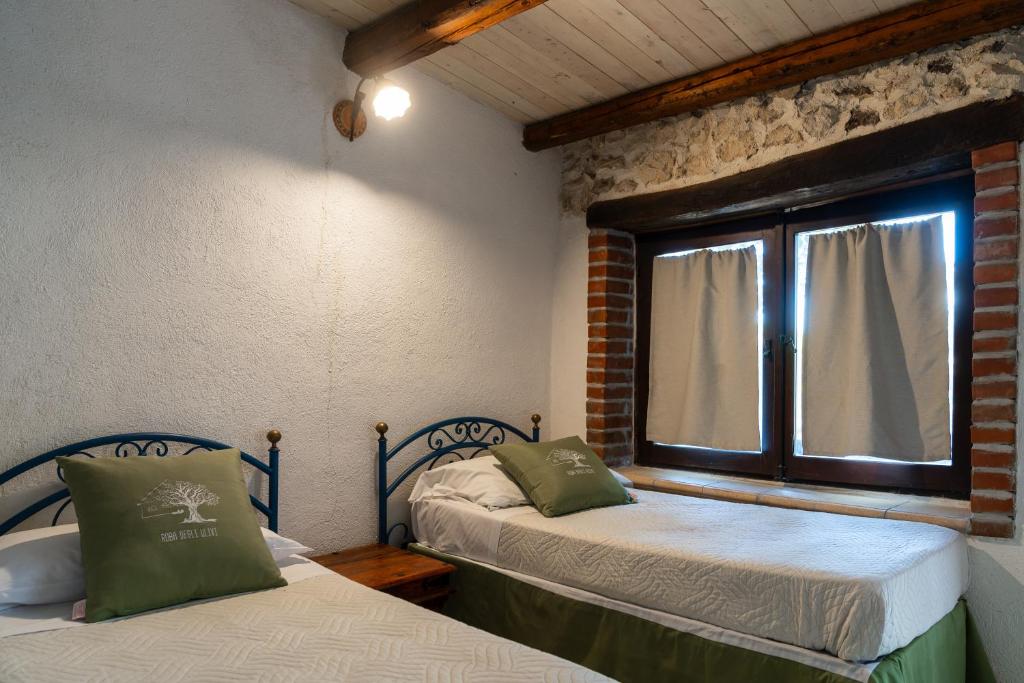 Roba Degli Ulivi - 2