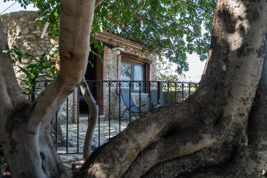 Roba Degli Ulivi - 6