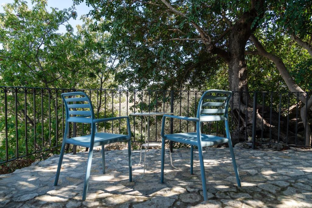 Roba Degli Ulivi - 3