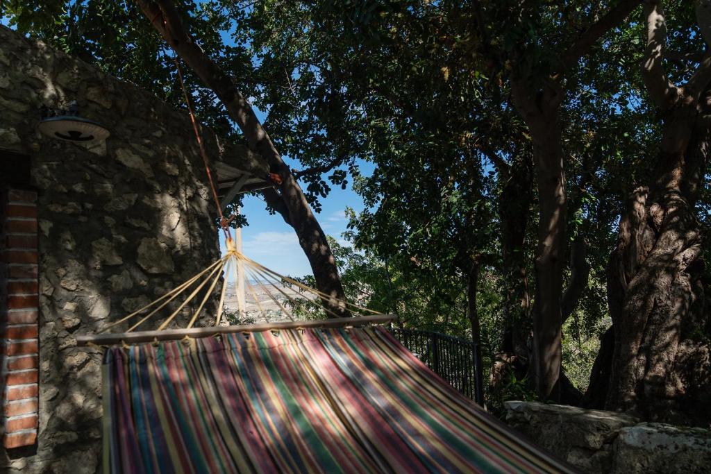 Roba Degli Ulivi - 4