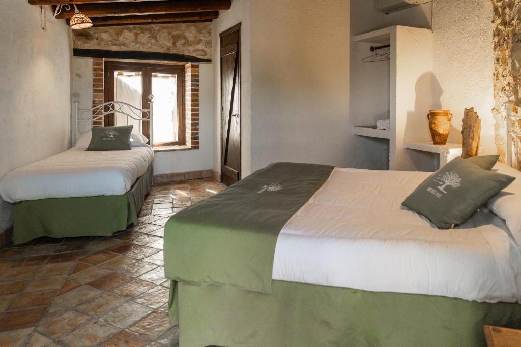 Roba Degli Ulivi - 13