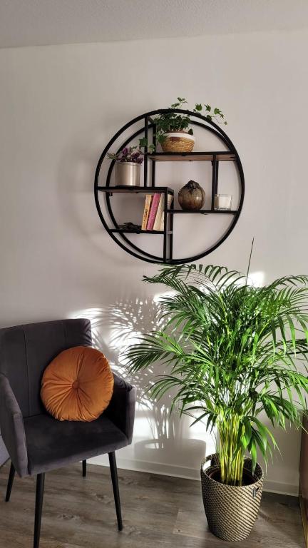 a living room with a black chair and a plant at Mia Casa in Kehl am Rhein