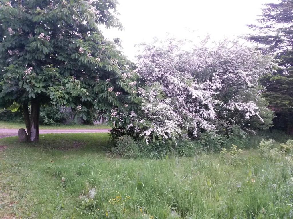 Zahrada ubytování Nordborg Apartment Hejnsvi