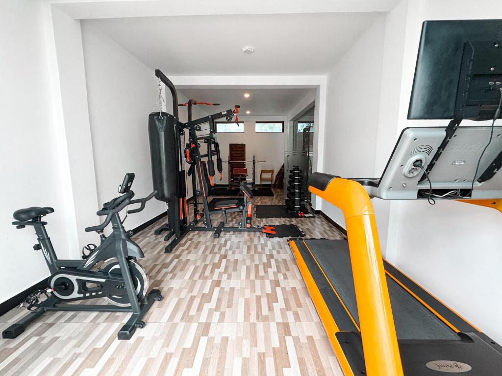 Fitness centrum a/nebo fitness zařízení v ubytování Ziegler Cottage