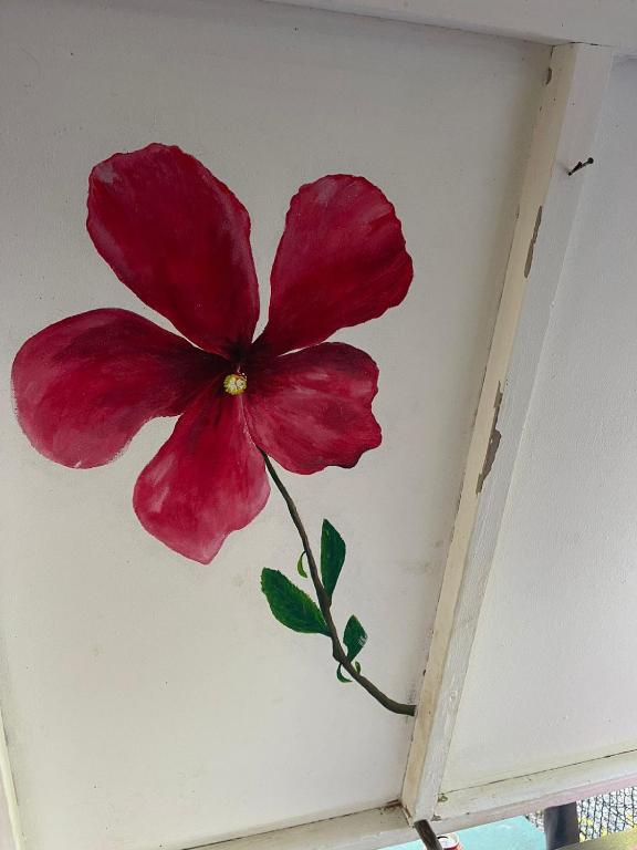 Foto dalla galleria di Alaroots Fakarava a Fakarava