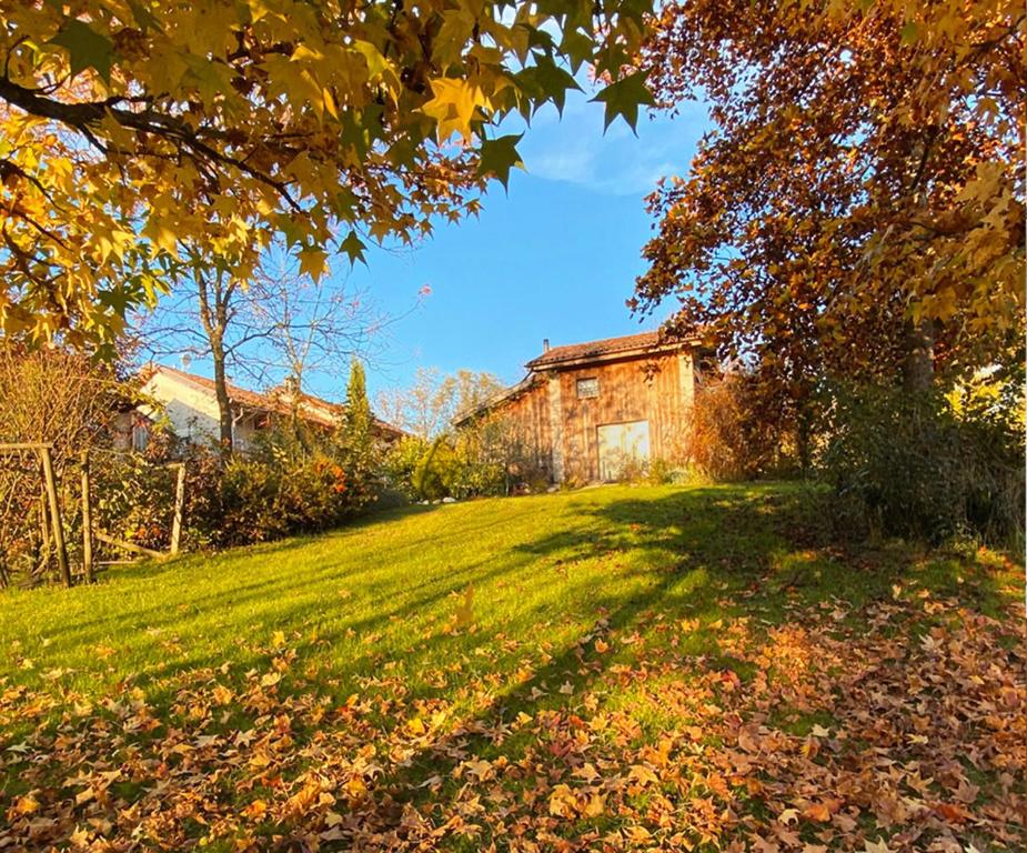 Zahrada ubytování Casetta dipinta Fattoria dei fiori