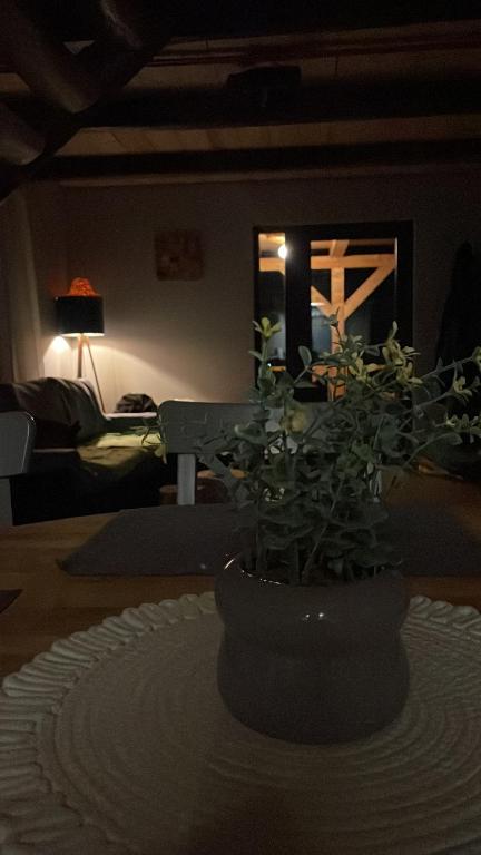 Φωτογραφία από το άλμπουμ του forest garden σε Sighetu Marmaţiei