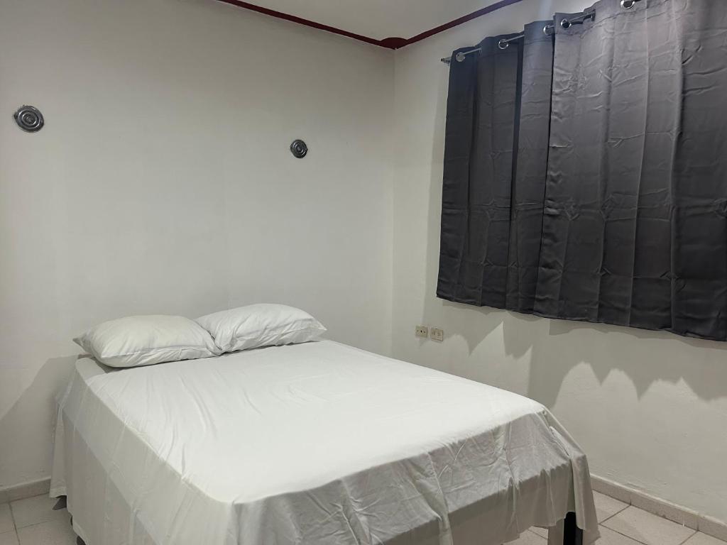 Hostel Treebu 객실 침대