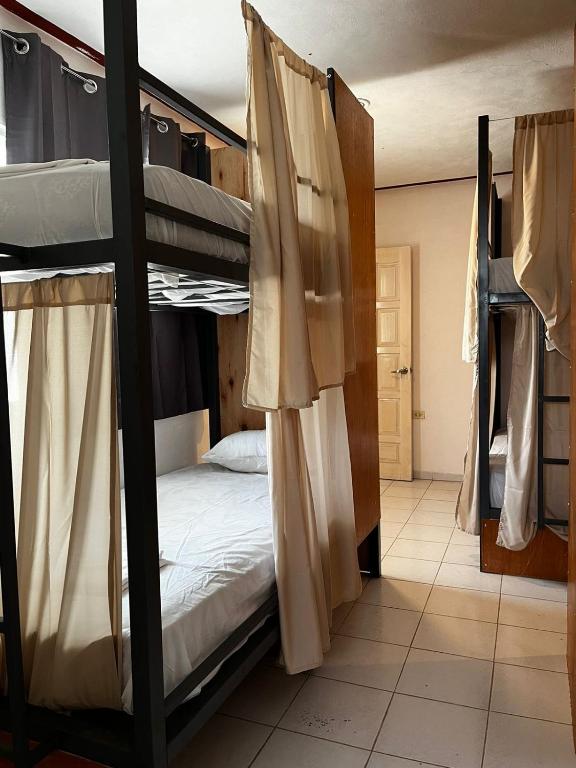 Hostel Treebu 객실 침대