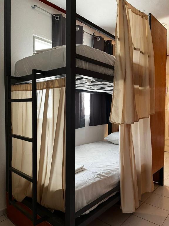 Hostel Treebu 객실 침대