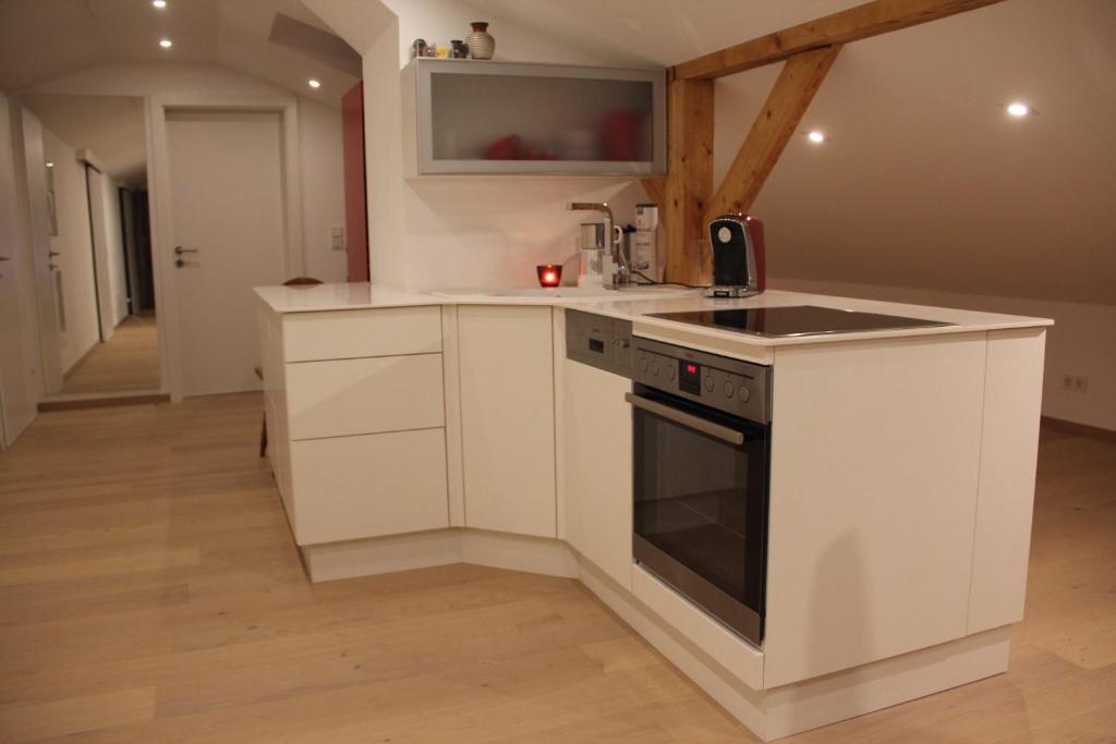 Kuchyňa alebo kuchynka v ubytovaní Appartement Aich-Assach