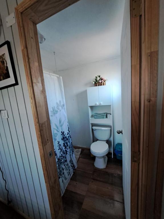 Koupelna v ubytování Tiny House Aeropuerto el Tepual