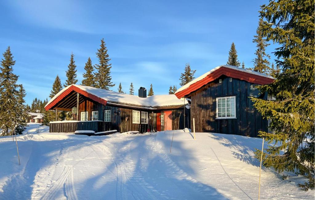 una cabaña de troncos en la nieve con nieve en Stunning Home In Sjusjøen With Sauna, en Sjusjøen