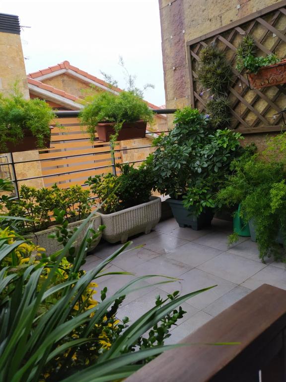 einen Garten mit Topfpflanzen an der Seite eines Gebäudes in der Unterkunft Casa Las Marzas-El Boj in Colombres