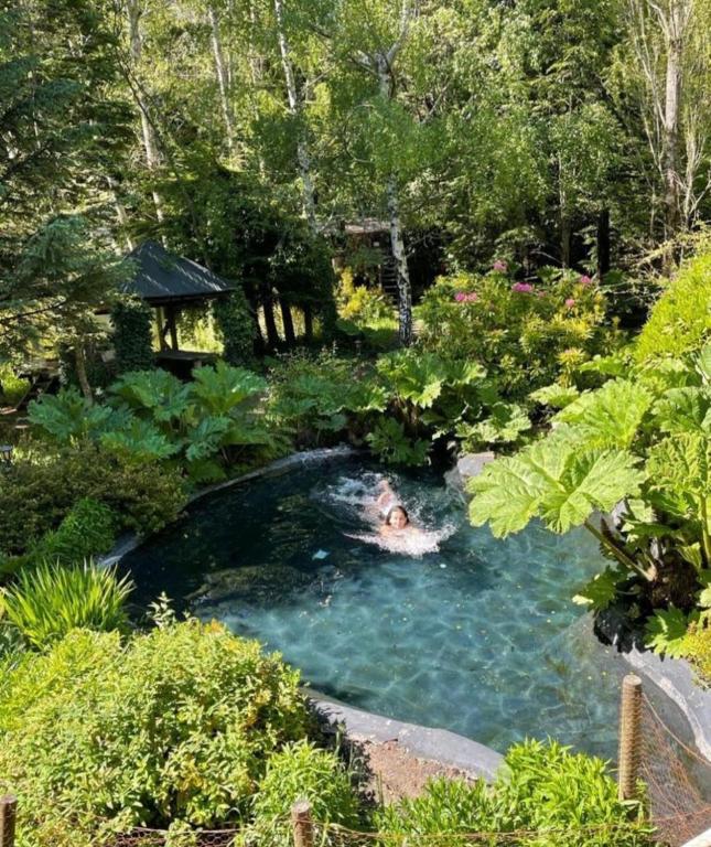 ein Wasserbecken mit einer Person, die darin schwimmt in der Unterkunft Pucón Magic forest in Pucón