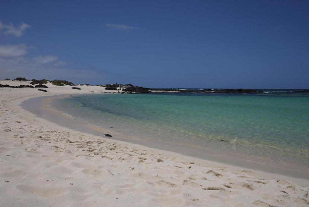 una playa de arena con el océano y el agua en Residencial Cotillo Playa, en Cotillo