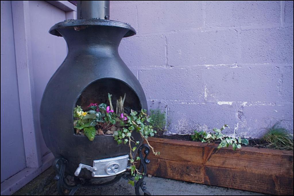 a large black vase with some plants in it at Hatton's of Garadice in Garadice