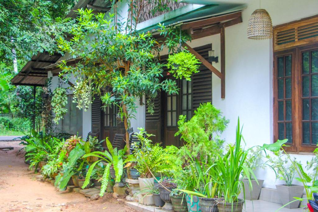 Zahrada ubytování The Sigiriya Rock Hostel