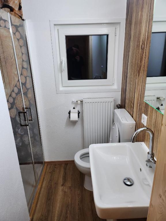 Koupelna v ubytování Alpenhaus Flügelbeck - Selbstversorgung