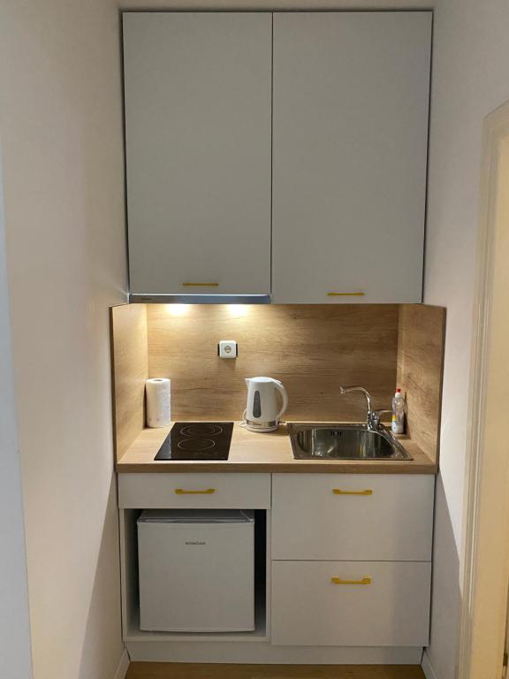 Kuchyňa alebo kuchynka v ubytovaní Apartment Zsa Zsa Zenta 1