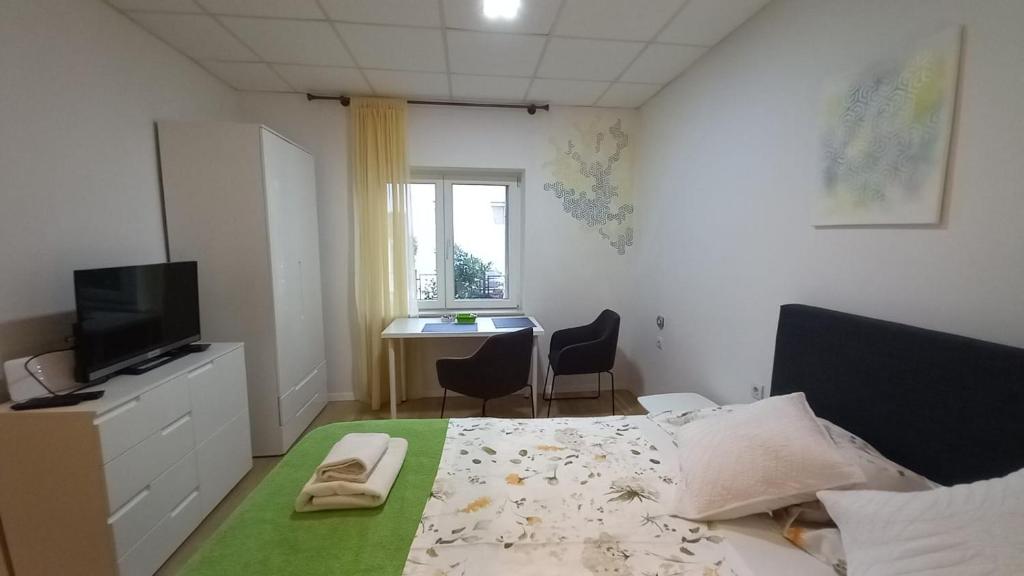 Televízia a/alebo spoločenská miestnosť v ubytovaní Apartment Zsa Zsa Zenta 1