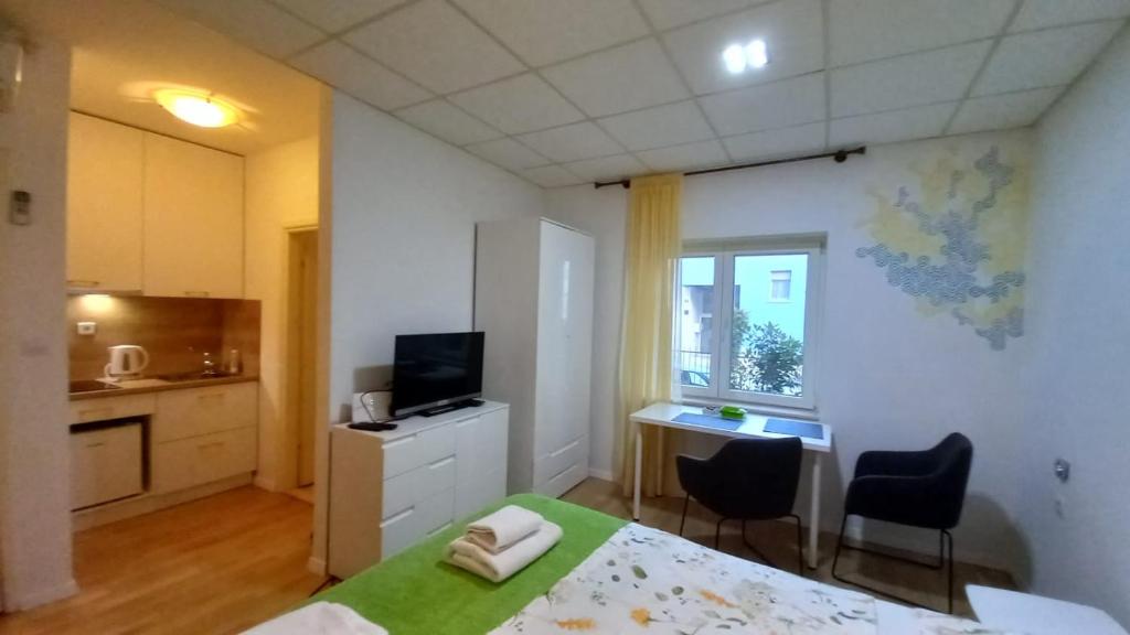Kuchyňa alebo kuchynka v ubytovaní Apartment Zsa Zsa Zenta 1