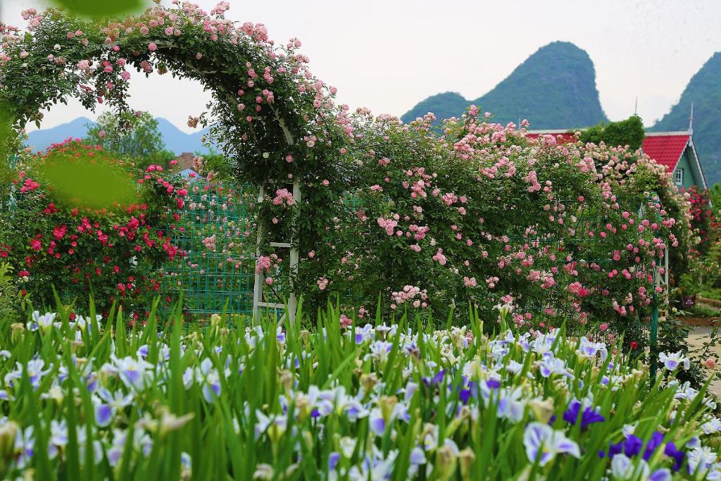 Un jardín fuera de Guilin Red Roof Garden Resort --Within 8000 square meter lush garden- Fluent English-Southeast Asian style decoration-Quiet and delightful