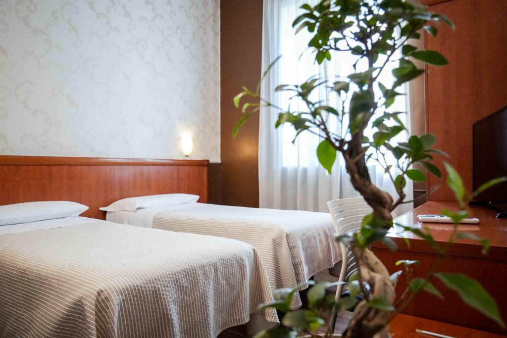 Hotel Universo - Resim 7