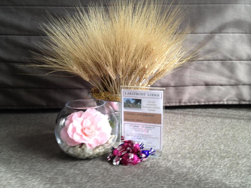 Lakefront Lodge - Resim 25