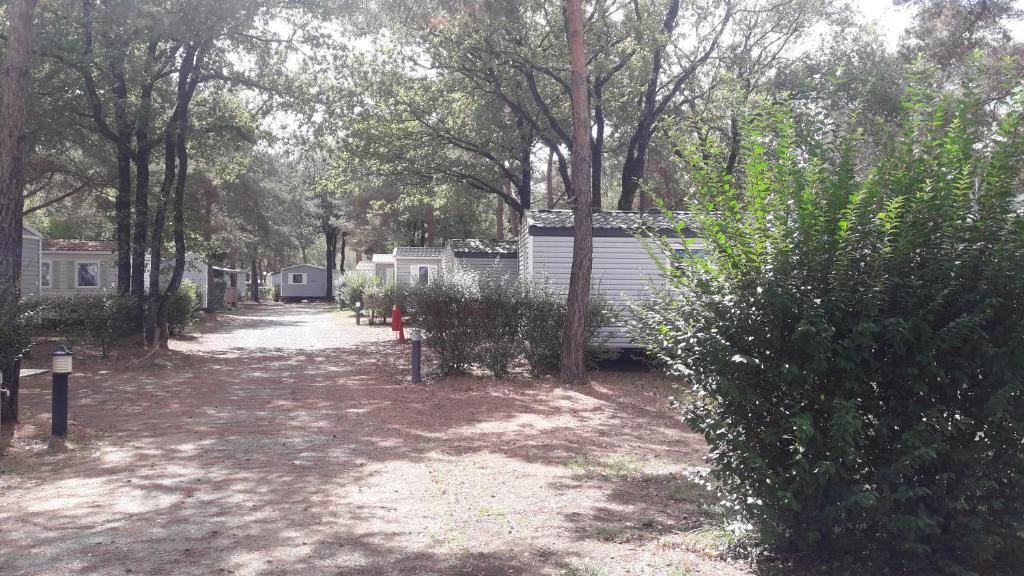 Vonkajšia záhrada v ubytovaní Mobil Home camping 3*** piscine chauffée