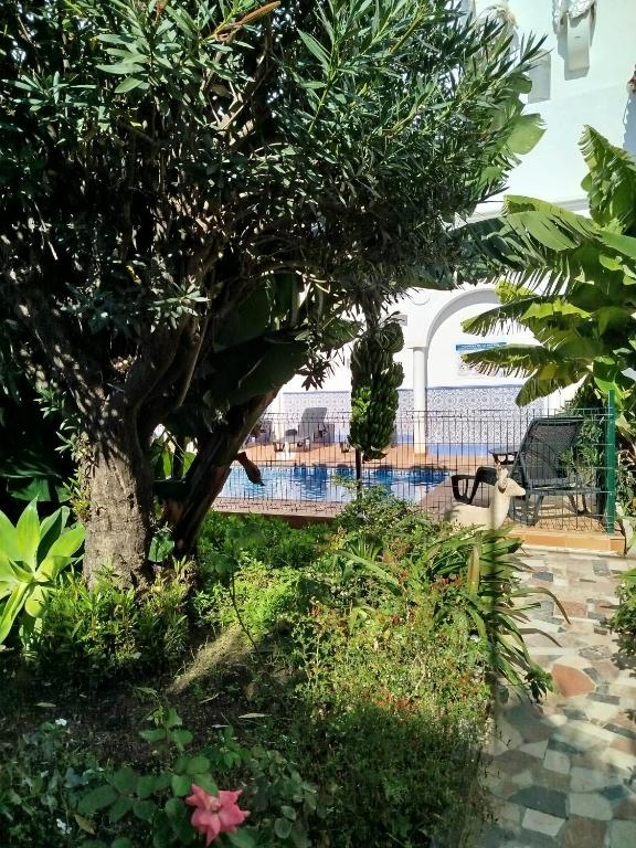 a tree in a garden with a bench in the background at El Jardin BeNerja in Nerja