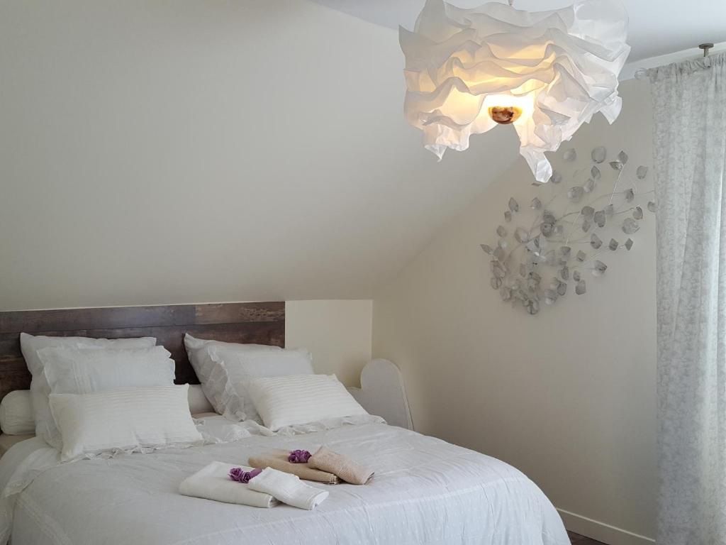 Le Havre by Leslodgespa - Housity