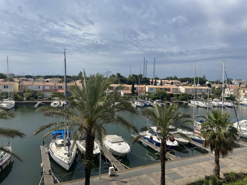 un groupe de bateaux amarrés dans un port de plaisance avec des palmiers dans l'établissement Appartement CAP D 'AGDE CT040-040, au Cap d'Agde
