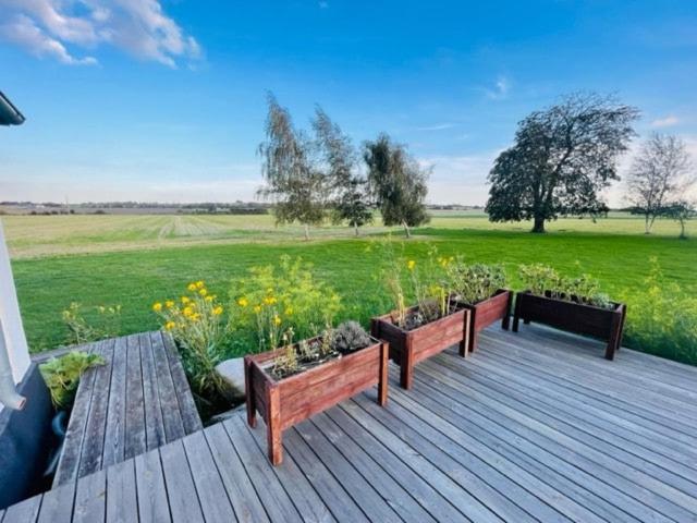 Zahrada ubytování Entire holiday home
