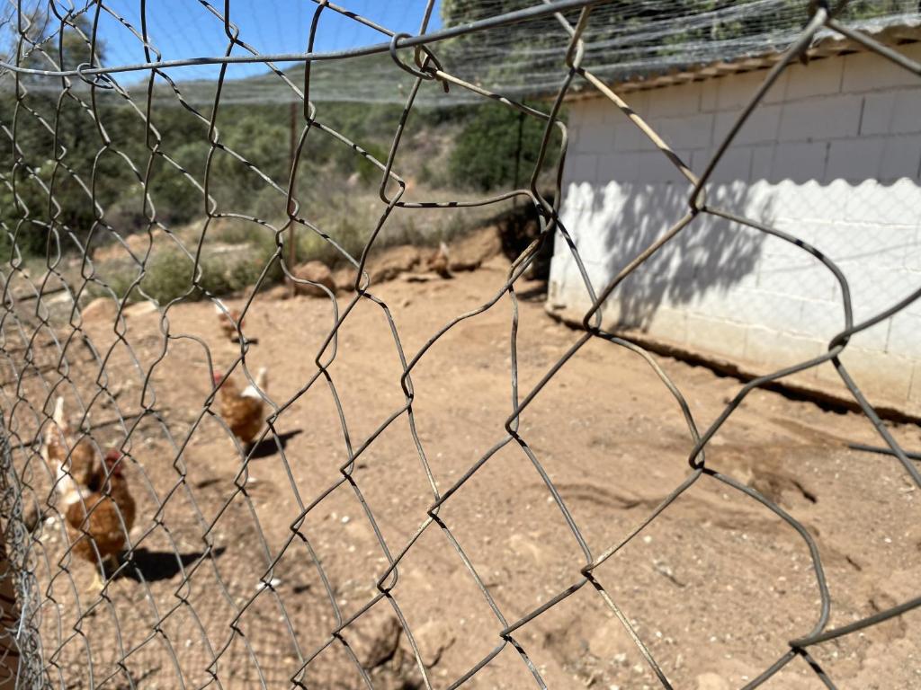 Zdjęcie z galerii obiektu Las Chorreras del Orejón 2 w mieście Villaviciosa de Córdoba
