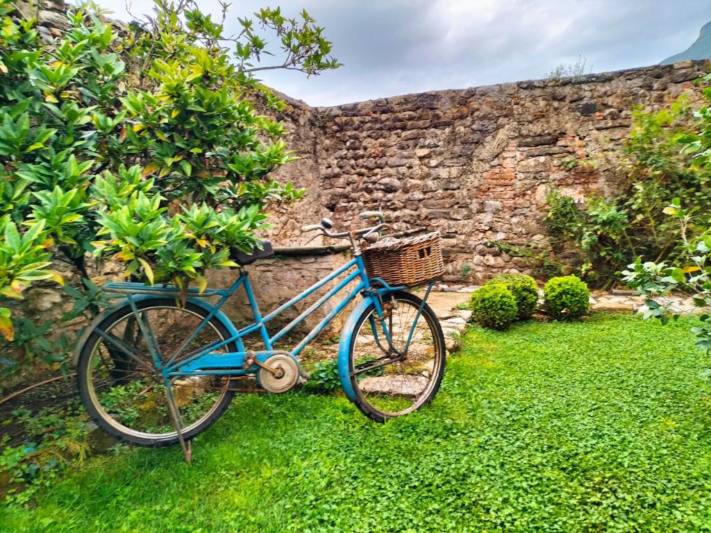 Zahrada ubytování Badia Giulia Prestigious Historical B&B, Camaiore - Adults Only - No Pets