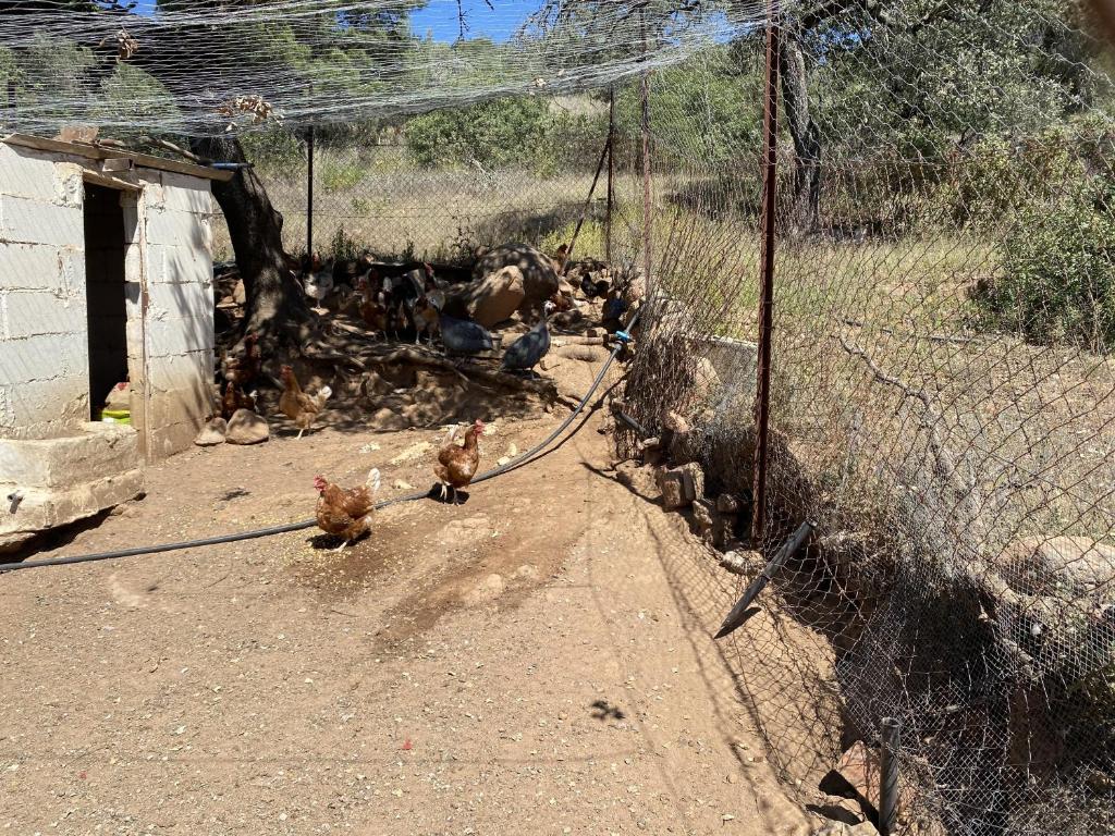 Zdjęcie z galerii obiektu Las Chorreras del Orejón 2 w mieście Villaviciosa de Córdoba