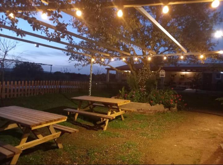 Zahrada ubytování CASA RURAL LA HOJA EL VALLE