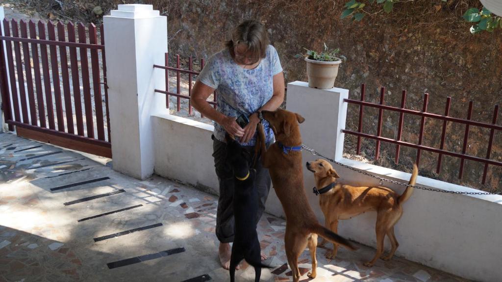 Domácí mazlíčci ubytovaní s hosty v ubytování Grace Inn Munnar Homestay