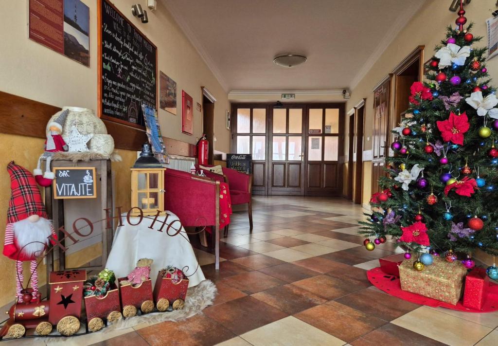 Fotografie z fotogalerie ubytování B&B Penzión Magura v destinaci Bardejov