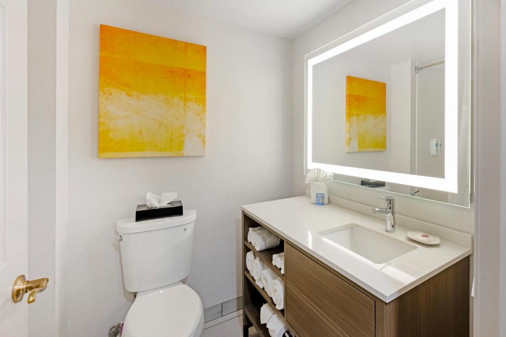 Comfort Inn & Suites Arlington Heights - Schaumburg photo